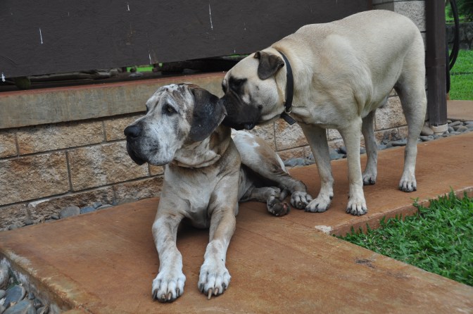 Come On--It'll Be Fun!