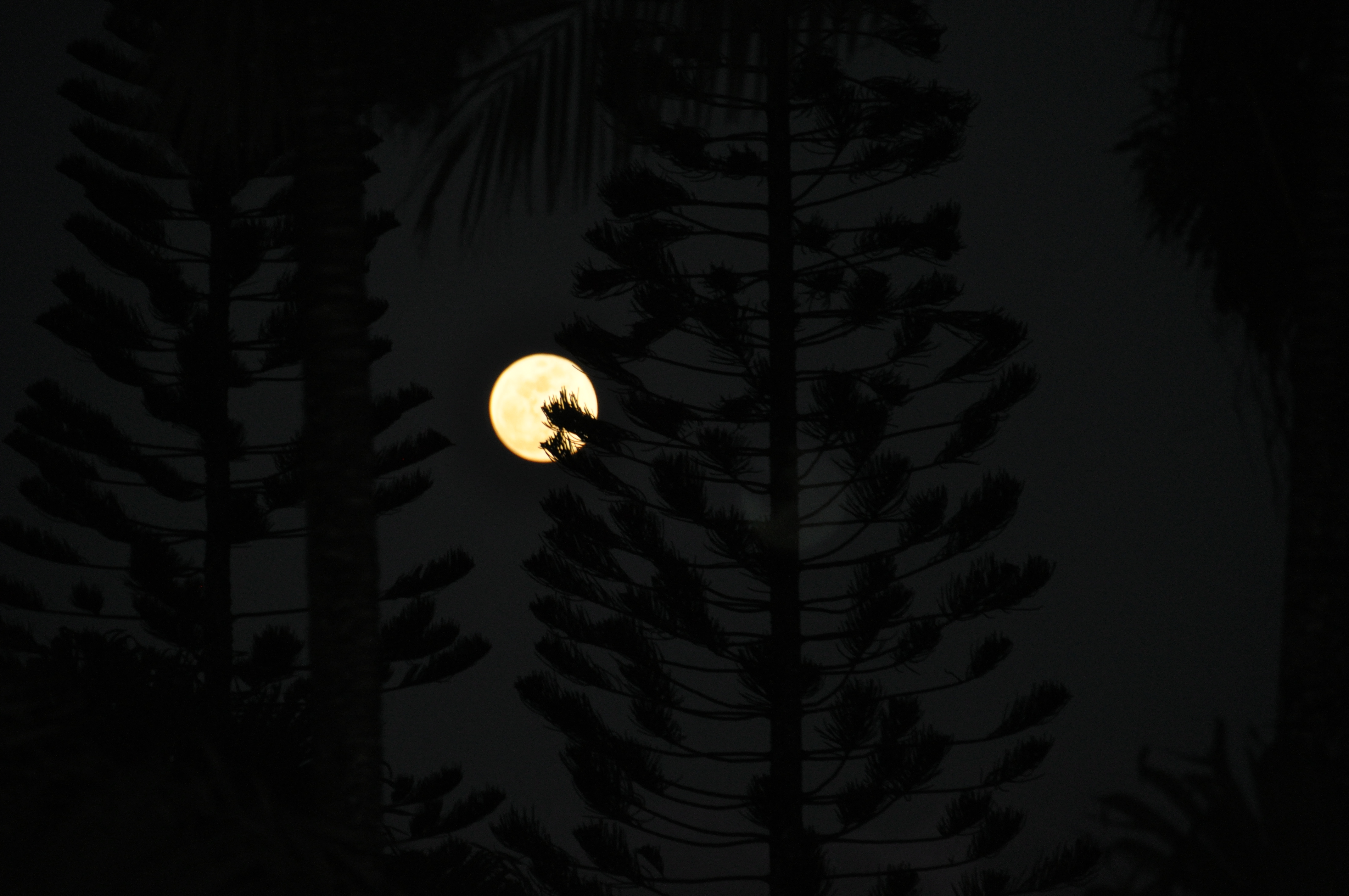 Super Moon