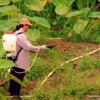 Da Cockroach Times—February 20th,  2009