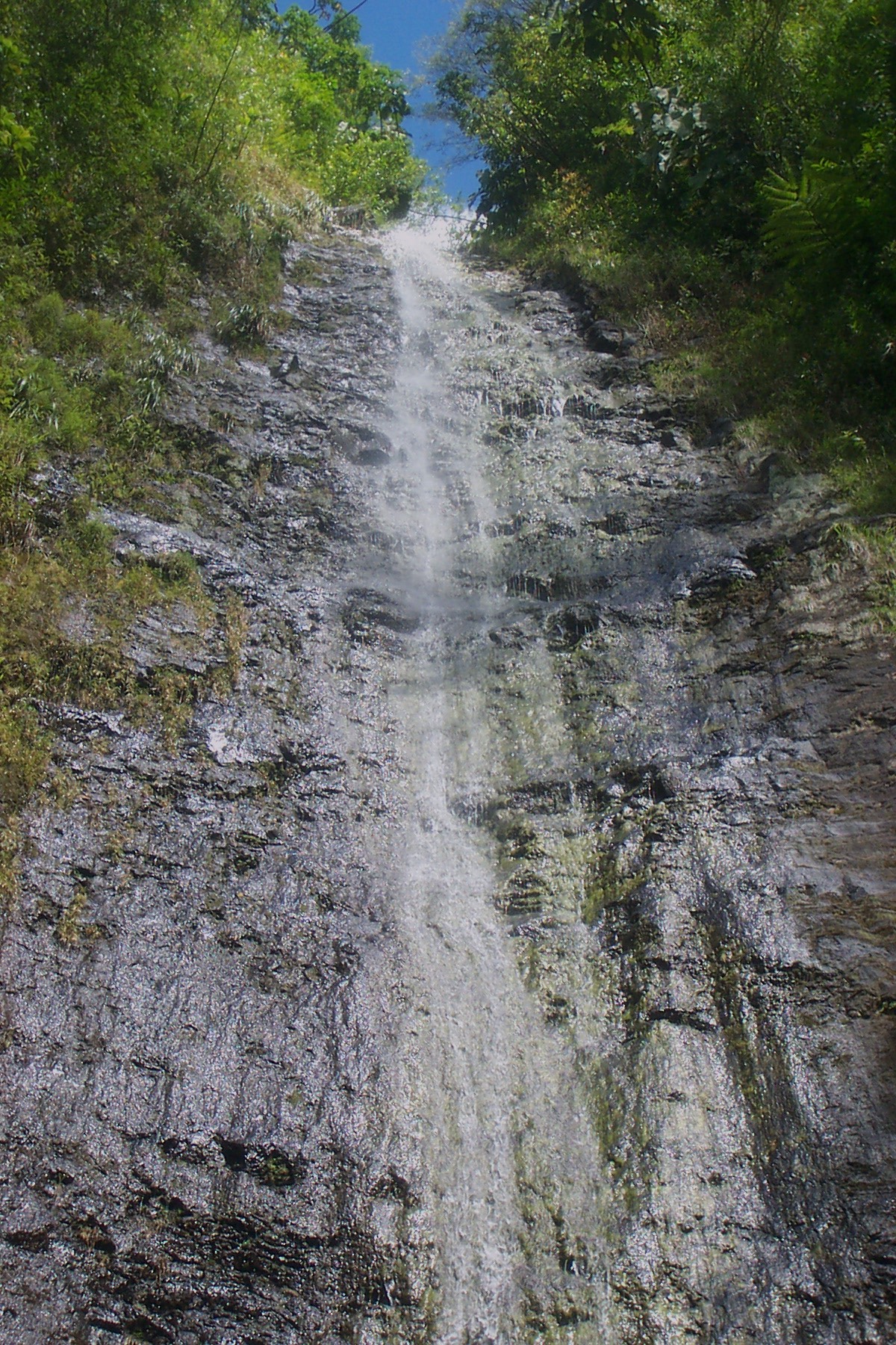 Spirits