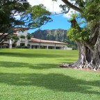 Fishing For Narrative