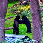 Seasons of the Mid-Hudson Valley