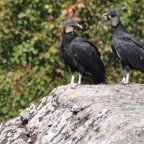 The Shawangunk Mountains And Mohonk Preserve