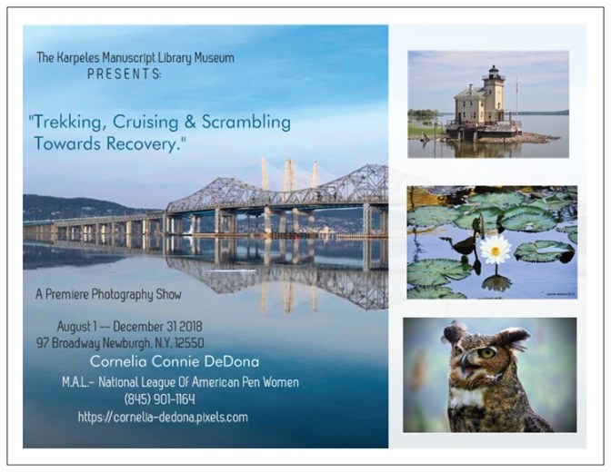 Trekking, Cruising &amp; Scrambling Towards Recovery