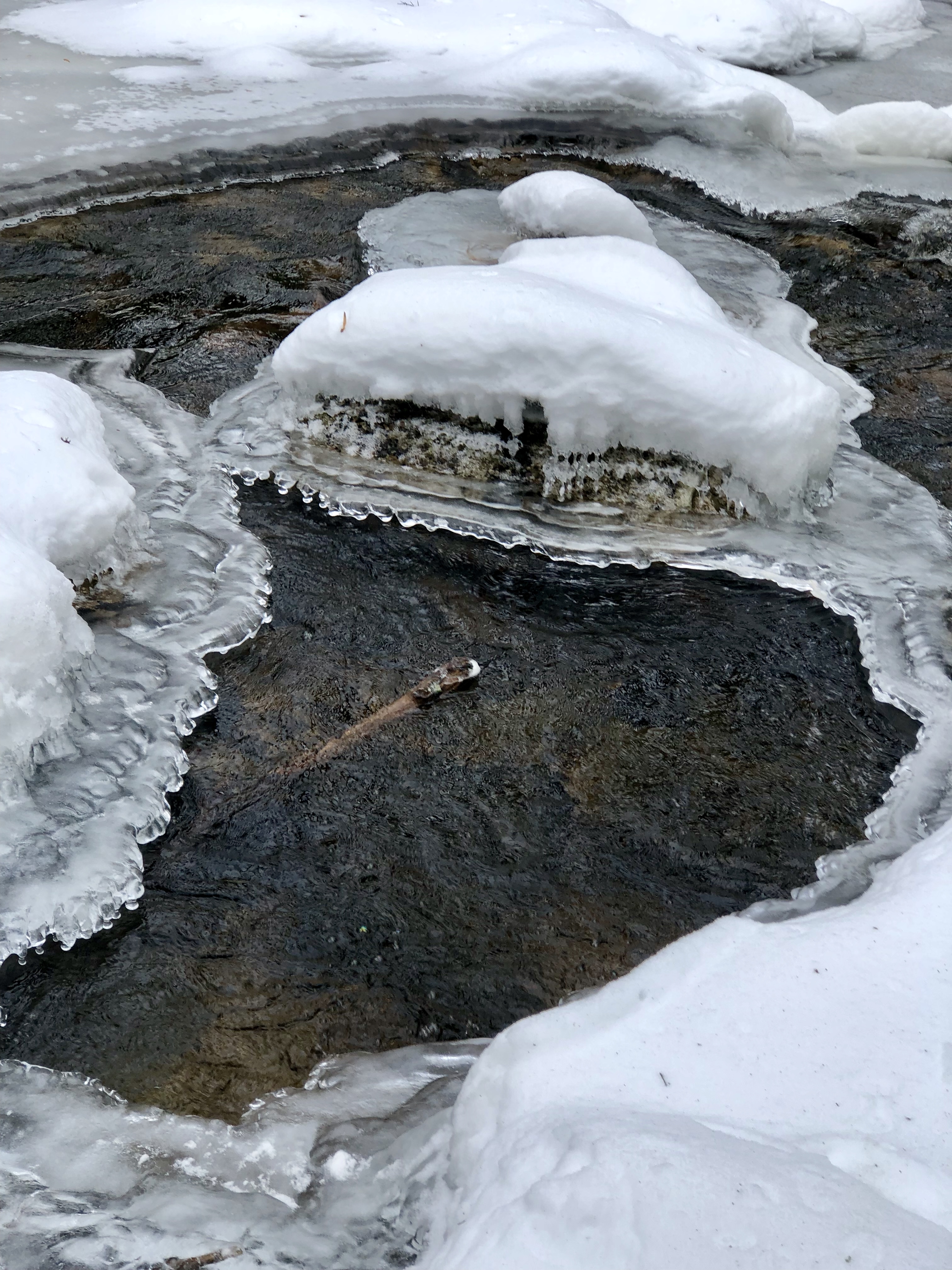 Leave No Trace