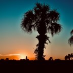 Focusing In On The Pandemic