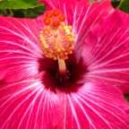 A Show To Watch If You Get Tired Of Watching The News