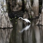 Because I Was Broken