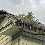 The Nature of The Contest