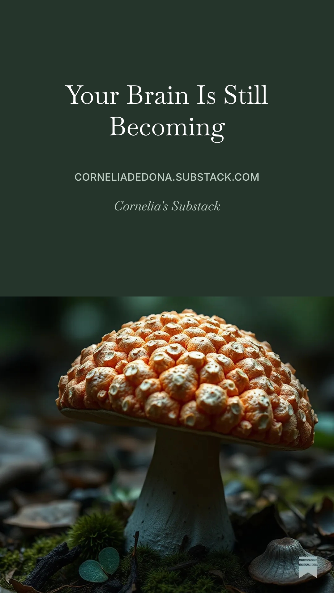 Your Brain Is Still Becoming