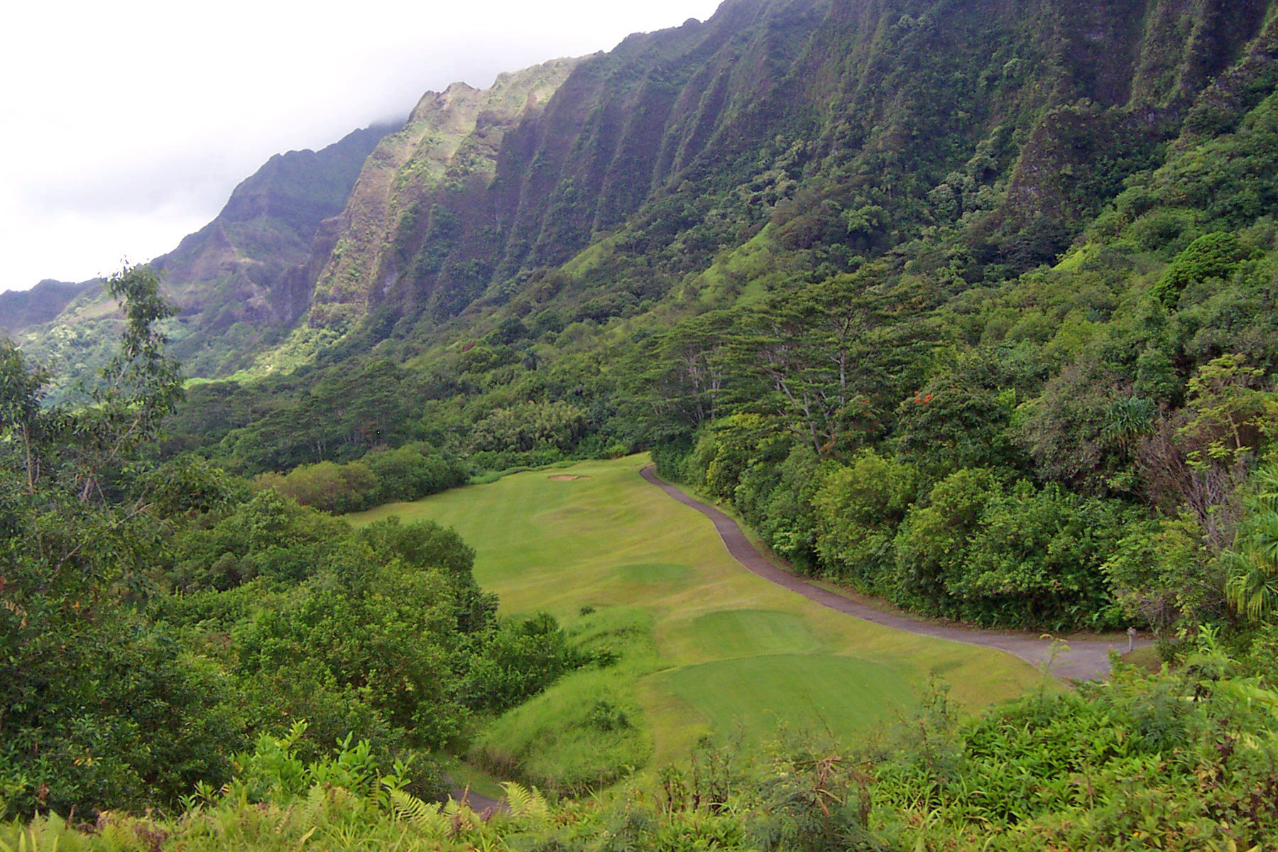 Golf Pondered